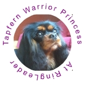 Tapfern Warrior Princess at Ringleader